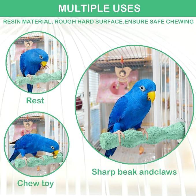 Bird Beak Grinding Stone & Nail Trimmer for Parrots, Anti-Slip Claw Grinder | Resin Beak Grinder & Washable Claw Trimmer for Budgie, Conures, Parakeets, Cage Accessory with Perch Stand (2, Green, 5 inch)