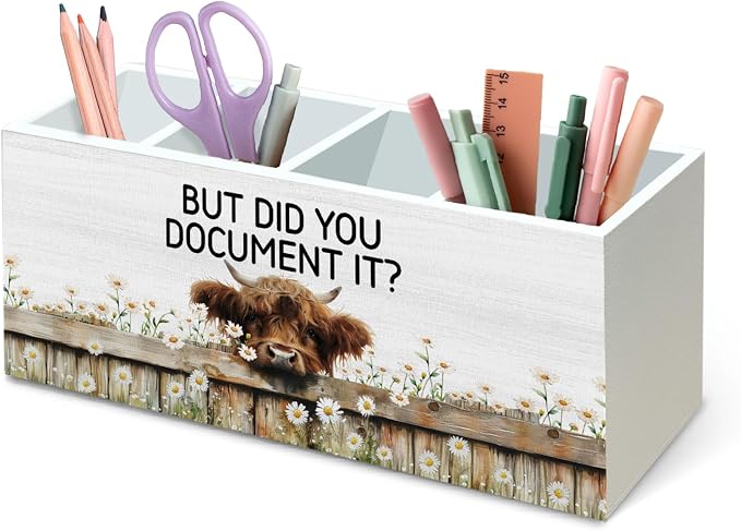 DILSJ Funny Highland Cow Office 4 Compartment Pen Pencil Holder for Desk | Funny Coworkers Work Humor Gifts, But Did You Document It Wooden Box Signs Organizer for Home Office Desk Tabletop Decoration