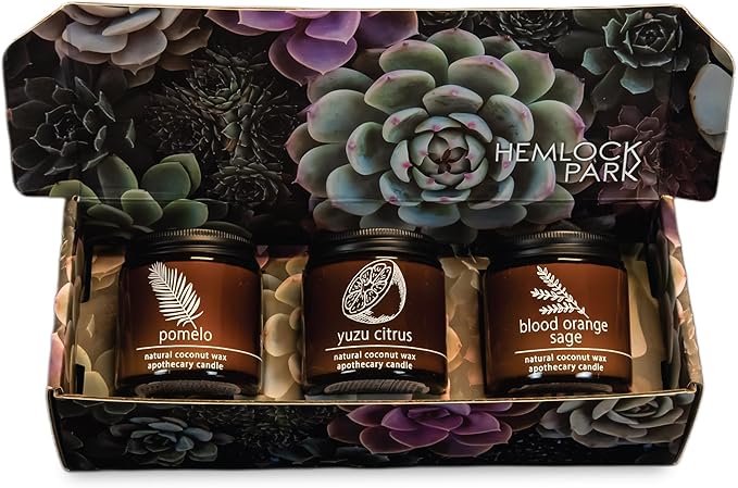 Hemlock Park Apothecary Wood Wick Candle Trio | Gift Set of Three 4 oz Candles Handcrafted with Natural Coconut Wax (Citrus | Pomelo, Yuzu Citrus, Blood Orange Sage)