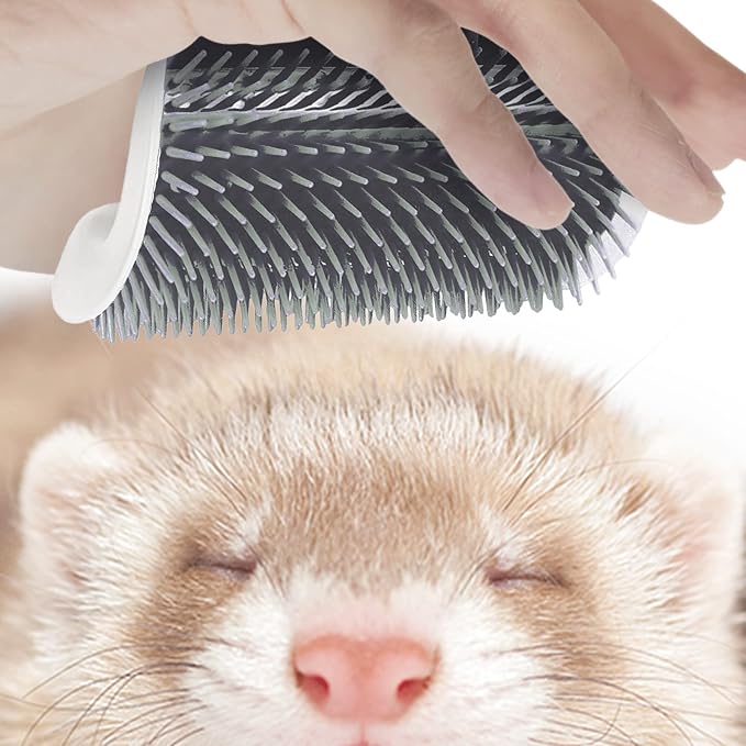 SunGrow Self-Grooming Brush for Cats, Light Gray Self Massager, Mountable to Corners and Flat Surfaces, Includes Brush, Catnip, Screws and Adhesive Tape, 1-pc