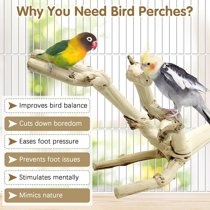 kathson Bird Perch Stand 10"-12" Nature Wood Stand Toy Parrot Cage Branch Paw Grinding Fork Parakeet Platform for Parakeets Cockatiels Conures Finches Love Birds（Small）