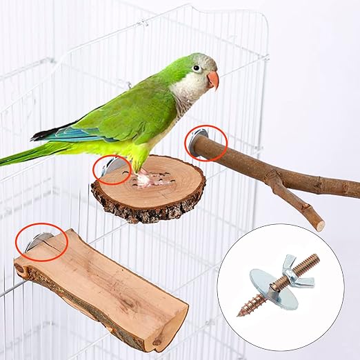 Bird Perch Screws Bird Cage Hardware 10 Sets & Drill Tool for Fixing Perch | Bird cage accessories for fixing perch, bird playground, food bowls feeder breeding box