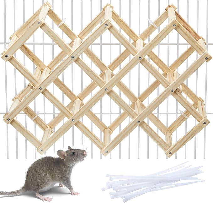 Kiln-Dried Wood Rat Climb Toy, Hanging Cage Ladder Activity (L, 1pc) | Natural Rat Cage Bridge, Multiple Openings & Directional Ramps Offer Challenges to Satisfy Rats' Instincts for Explore & Play