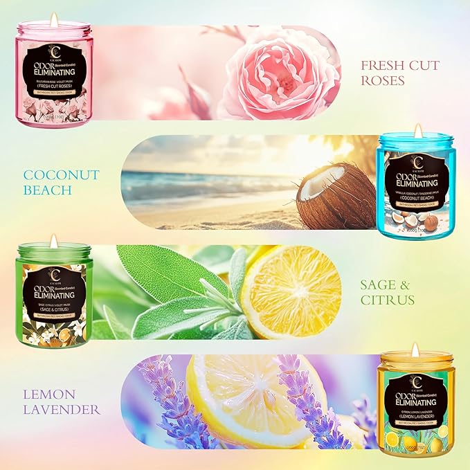 4 Pack Odor Eliminating Candles Set for Pet Smoke, Scented Candles for Home Decor Non Toxic Soy Wax Candle for Relaxing Stress Relief Women Men, 40 Hours Burning Time, House Warming Gifts for Host