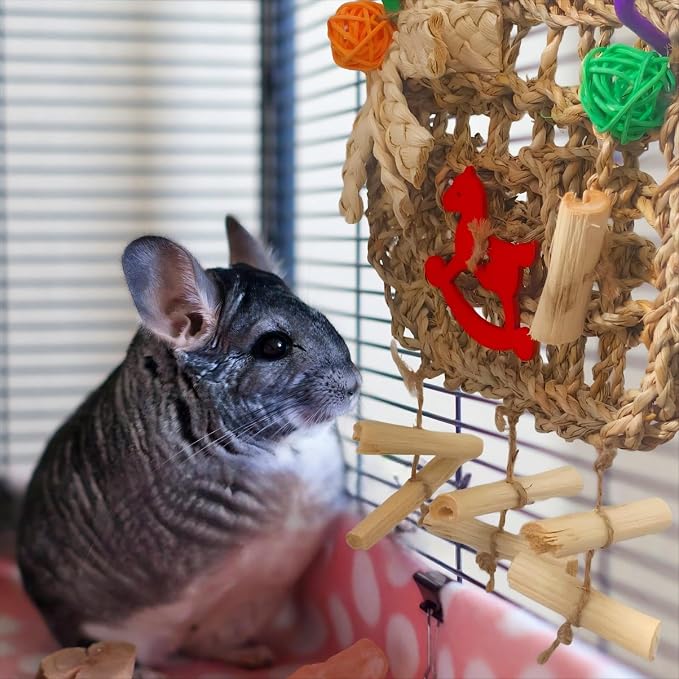 Rabbits Chew Toy, Bunny Cage Hanging Chew Toys and Treats | Grass With Sweet Bamboo, For Guinea Pigs, For Chinchillas, For Hamsters, For Rats