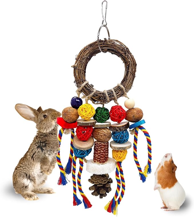 Bunny Chew Treat Toy for Teeth, Rabbit Cage Hanging Chew Toys and Rattan Ring with Snack,Natural Material Handwoven Chinchilla Treats Toys for Guinea Pig Gerbils Hamster Rat Teeth Grinding