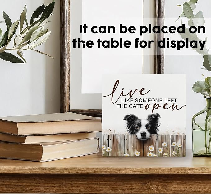 Border Collie Signs - Farm Cottagecore Animal Office Kitchen Bedroom Decor,Rustic Farmhouse Live like Someone Left the Gate Open Home Decor Wooden Signs,Border Collie Gifts for Women,8x8