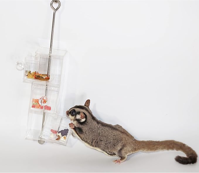 Doors & Drawers - Durable Interactive Treat Forage Box Cage Accessory Toy - for Sugar Gliders, Rats, Chinchillas, Ferrets, Parrots, Hamsters, Squirrels, Hedgehogs, Guinea Pigs & Other Small Pets