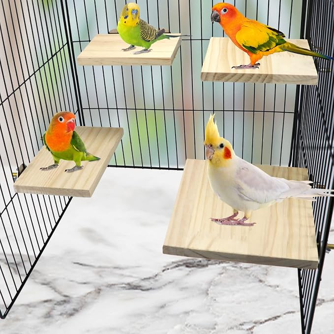 Litewoo 2pcs Bird Perch Platform Flat Stand Beak Paw Grinding Parrot, XL | 5.9"x6.5", natural wood, easy to install, save space, for parrot/parakeet/cockatiel/lovebird//conure/finch/budgie/cage