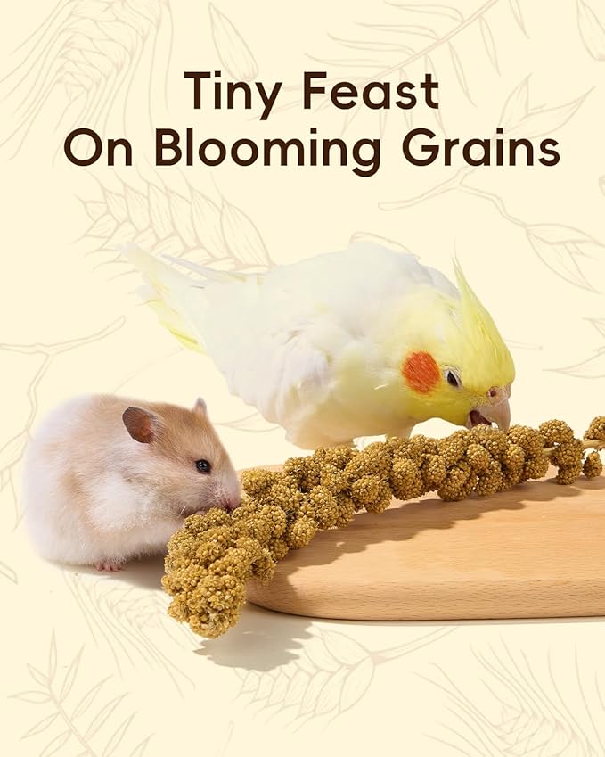 BUCATSTATE Natural Hamster Bedding Flowers & Herbs & Sprays | For Cage Habitat Decor - Treat Cereal Grain for Dwarf Syrian Gerbils, Mice, Rat, Forage, Enrichment (54PCS)