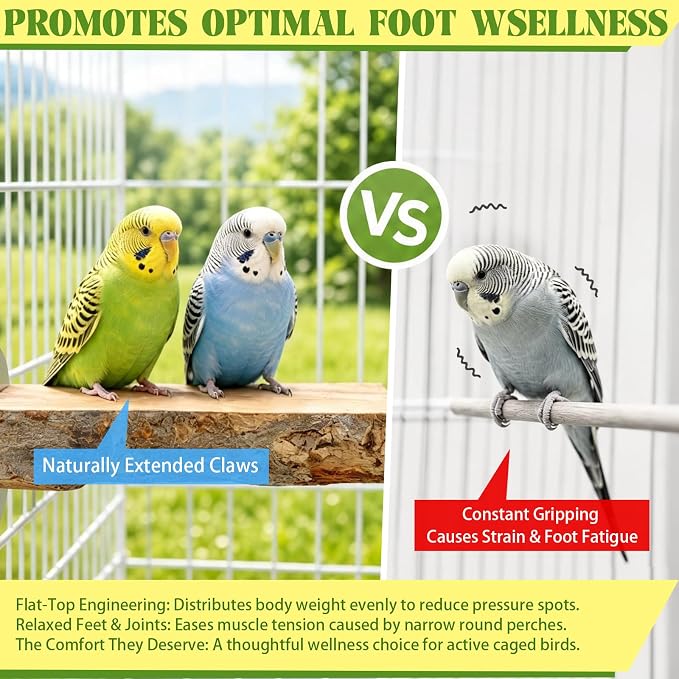 2PCS Large Flat Bird Perch Platform for Cage (6" x 3.15") | Natural Apple Wood Foot-Care Wooden Perches Stand, Small Bird Toy & Accessories for Cockatiels, Conures, Budgies, Lovebirds