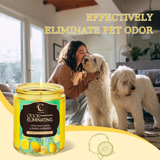 Lavender Odor Eliminating Candles, Pet Scented Candles for Home, Single Wick Soy Candle Gifts for Women, Men, Ideal for Creating Relaxing Atmosphere, Over 50 Hours of Burn Time