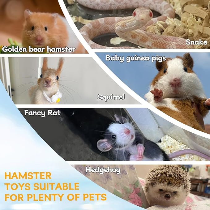 Hamiledyi Wooden Hamsters 2-Chamber Hideout-Tunnel Multi Chamber Exploring Toy Rat 14 x 6.3 x 5.5 Exploring Tunnel Toy for Mice Guinea Pig Squirrel Sugar Glider
