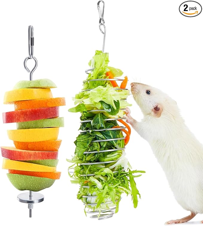 2Pcs Rat Enrichment Toys, 304 Stainless Steel Holder for Fruit Veggie | Fancy Mice Cage Puzzle Toy, Hanging Rodent Slow Feeder to Keep Pets Healthy, Bird Foraging Toy for Parakeet, Dishwasher Safe