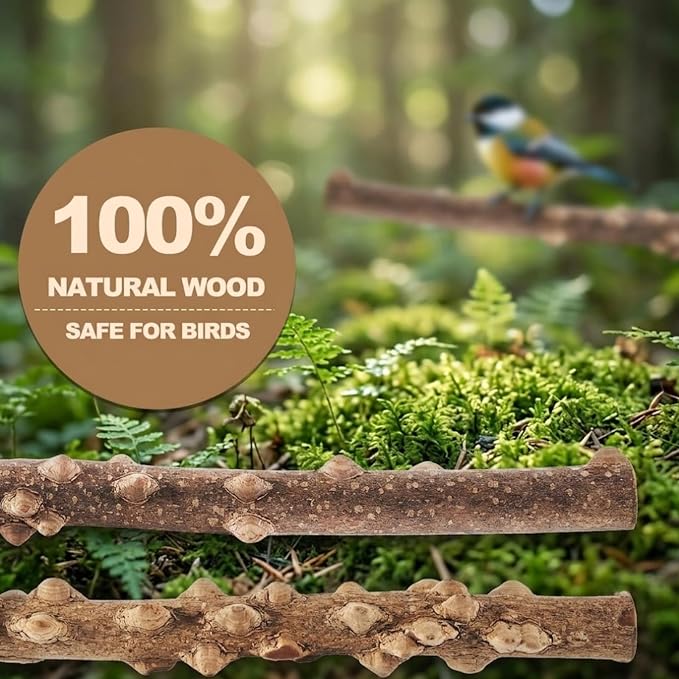 Bird Perch Set, 6 Pack Natural Apple Wood Cage Accessories with Platforms & Swing for Parakeets, Cockatiels, Conures, Budgies, for Climbing, Chewing & Exercise