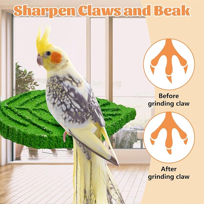 3 Pcs Parrot Perch Resin Bird Beak Grinding Stone Leaf Shape Perch Stand Foot Clawing Trimmer Bird Cage Accessories for Cockatiels Conures Budgies Lovebirds (Green)