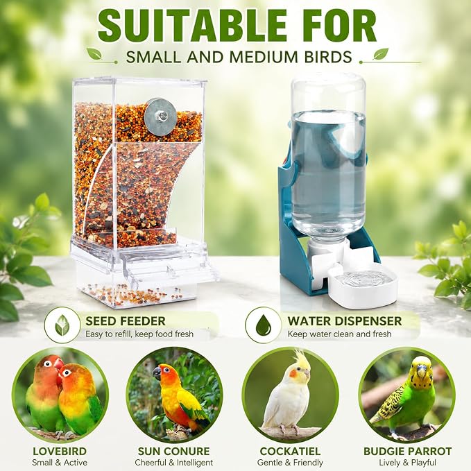 Rypet No-Mess Bird Feeder and Water Dispenser Set for Small Birds | Automatic Bird Feeder, Transparent Acrylic Food Container, Helps Reduce Seed Scatter, for Parakeet Cockatiel Parrot Canary