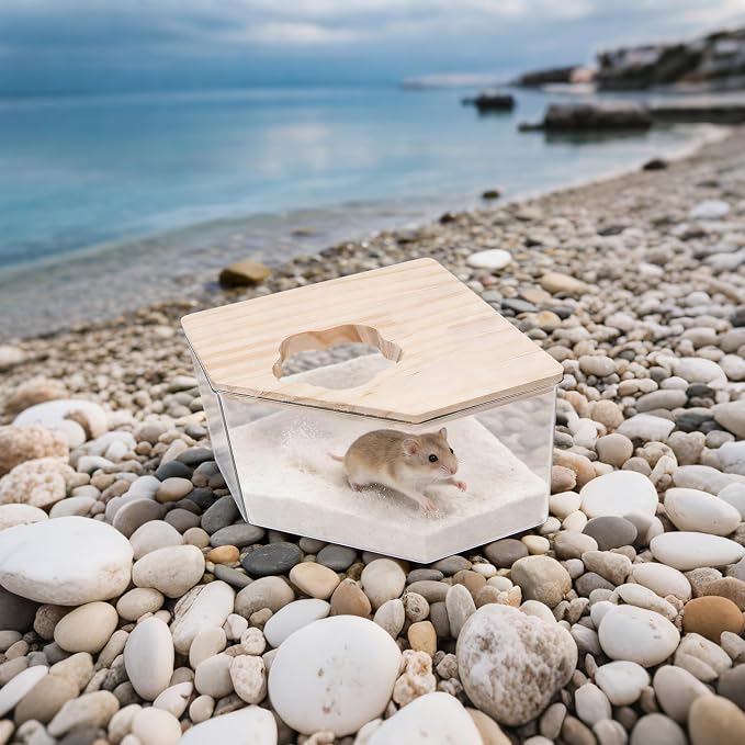Hamster Sand Bath Box–Transparent Syrian Hamster Shower Bathtub with Comb for Small Pets, Acrylic Micro Sand Bath Box with Lid, Ideal Hamster Dig Box - Pentagon