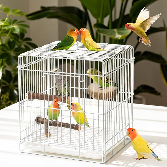 8 Pack Bird Perch, Natural Apple Wood Platforms, Hardwood Branches Cage Accessories for Parakeets, Cockatiels, Lovebirds and Other Small Birds
