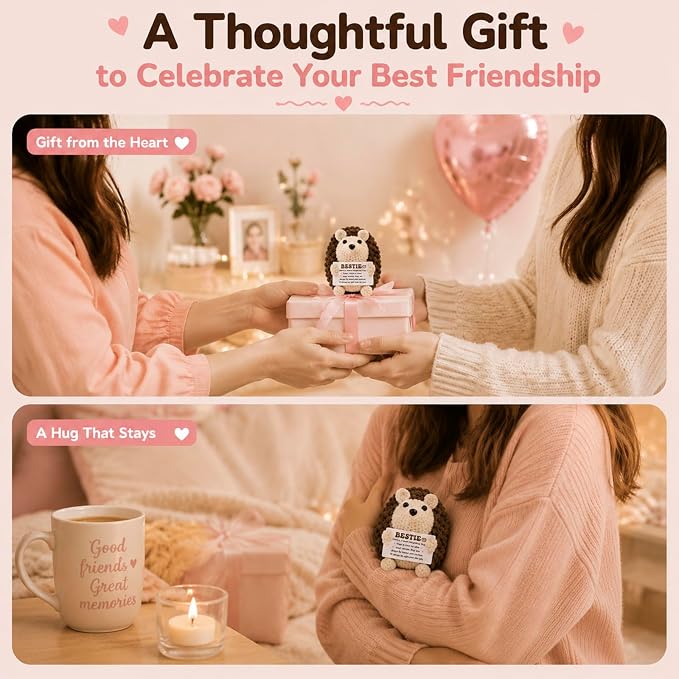 Mini Funny Hedgehog Best Friend Friendship Gifts for Women Men | Thank You Presents for Best Friend Sister Bestie,Cute Small Handmade Graduation Birthday Office Desk Decor