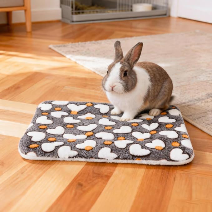 2 Pcs Bunny Bed, Washable Rabbit Bed, Double-Sided Fleece Sleeping Pad for Guinea Pig, Dwarf Rabbit, Chinchilla, Ferret, Hamster, Warm Small Animal Cage Mat, 13x10in, Brown Heart
