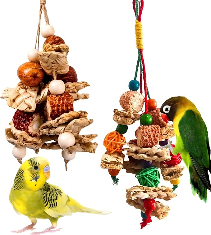 2pcs Bird Toys for Parakeets,Parrot Cage Chewing Hanging Toy | Bird Foraging Toys,Parrot Toy For Conure Cockatiel Budgies Lovebird