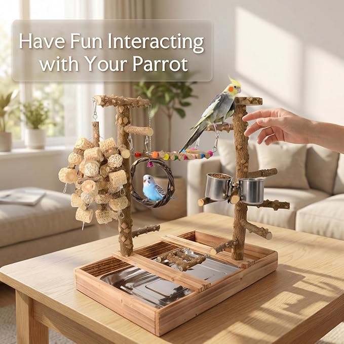 Bird Perch Stand, Multi-Layer Bird Playground, Parrot Cockatoo Parakeet Chew Toys