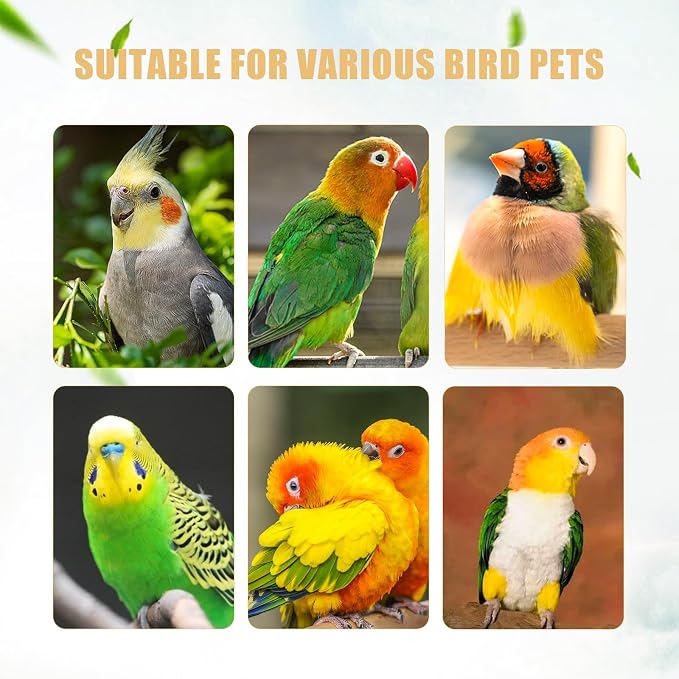 3 Pack Parrot Perch Stands Birds Stand Pole Natural Wild Grape Stick Grinding Paw Climbing Standing Cage Accessories Toy Branches for Parakeet, Budgies, Lovebirds (Style-4)
