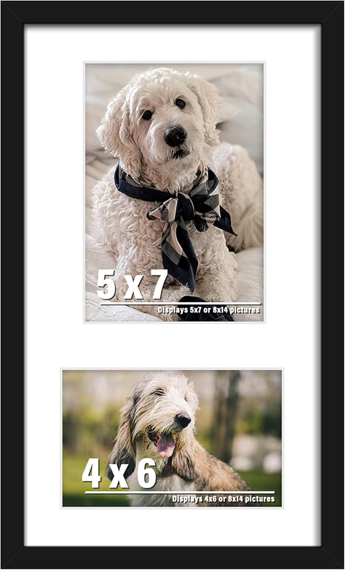 8x14 Picture Frame Collage Display 4x6 and 5x7 Photos for Available Horizontal Wall Mounting Display and Vertical Black