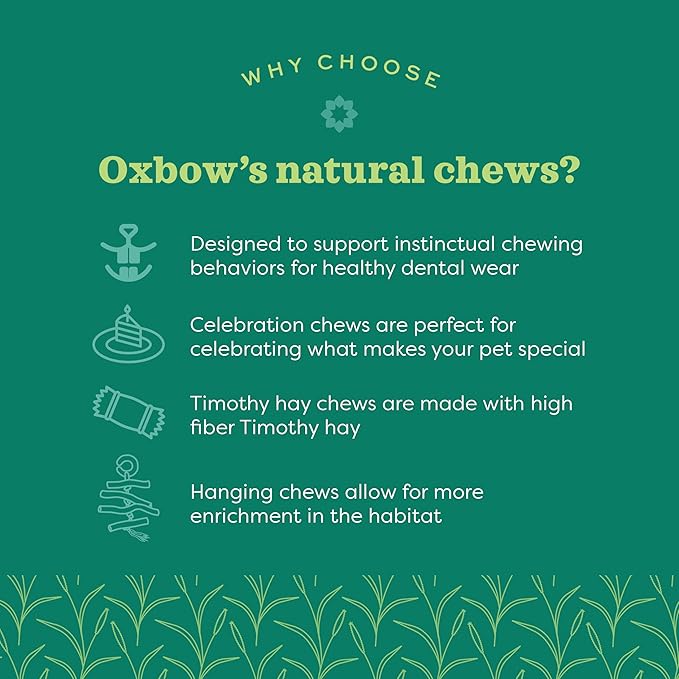 Oxbow Timothy Hay Mat, Edible Rabbit & Guinea Pig Chew Mat, Large | Hand-Woven, Timothy Hay Chew Mat, For Rabbits, Guinea Pigs, Chinchillas And Rats, Edible Cage Enrichment, Supports Chewing