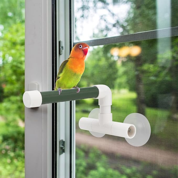 Hypeety Portable Suction Cup Bird Window and Shower Perch Toy Parrot Stand | 2 strong suction cups, parrot bath perch, easy to install, fits windows/shower tile, for budgies/parakeets/lovebirds, green