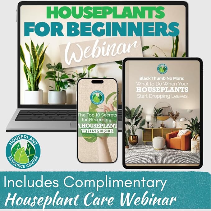 Houseplant Leaf Shine & Cleaner Wipes | Removes Dust, Dirt & Water Spots for Healthier, Glossy Leaves | Easy-to-Use Natural Leaf Cleaning Wipes for Indoor & Outdoor Plants | 30 Count