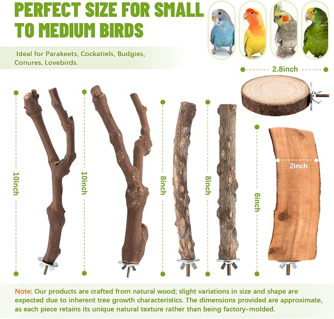 6 Pcs Natural Wood Bird Perch & Platform Set for Cage | Grapevine branches, prickly ash sticks & apple wood platforms; textured surface for foot health; easy wing-nut setup.