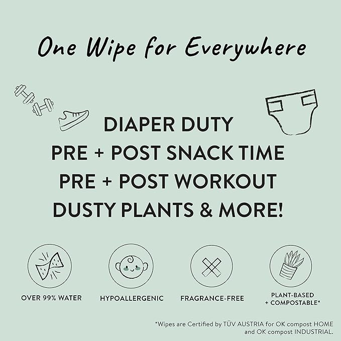 The Honest Company Clean Conscious Multi-Use Wipes Unscented Hypoallergenic Baby for Sensitive Skin 99% Water Plant-Based Compostable Rose Blossom 576 Count