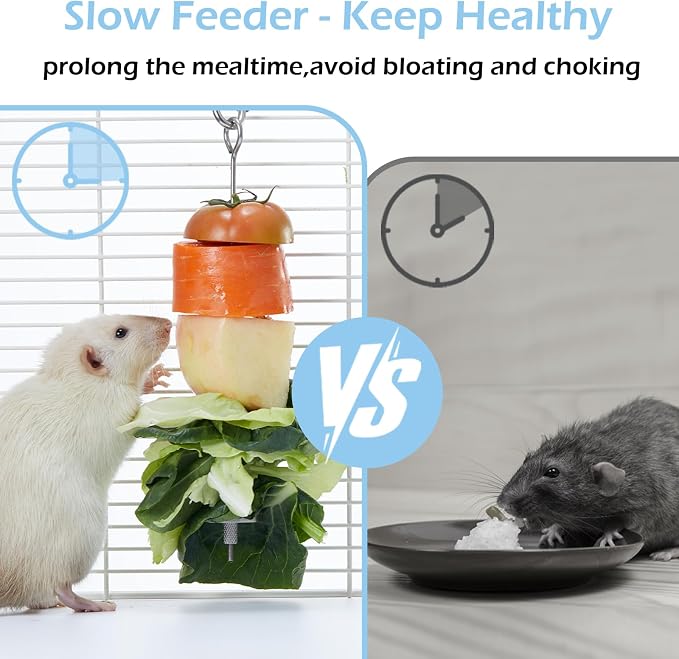 2Pcs Rat Enrichment Toys, 304 Stainless Steel Holder for Fruit Veggie | Fancy Mice Cage Puzzle Toy, Hanging Rodent Slow Feeder to Keep Pets Healthy, Bird Foraging Toy for Parakeet, Dishwasher Safe
