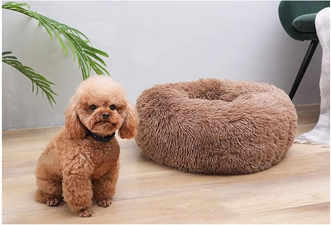Cat Bed for Indoor Cats,Mini Plush Self Warming Kitten Bed, 20 Inch | Soft Round Fluffy Dog Bed and Cat Nest for Kittens and Small Dogs, Cozy Medium Bed for Indoor and Warm Autumn or Winter Sleep