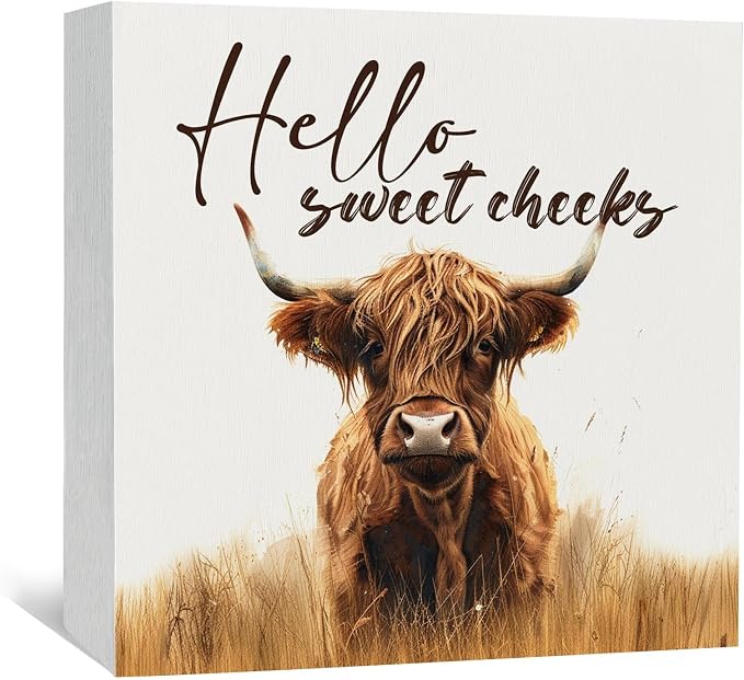 Highland Cow Bathroom Decor Sign, Hello Sweet Cheeks Wooden Box Signs, Highland Cow Gifts For Women Lovers,6x6