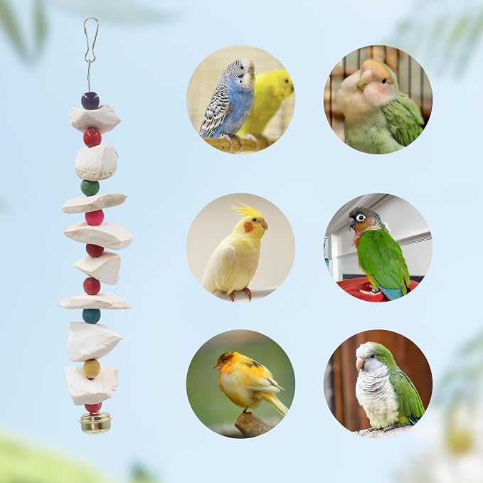2 Pack Bird Toys with Cuttlebone, Parakeet Toys, Bird Beak Grinding Stone, Cage Accessories for Parakeets, Cuttlefish Bone for Budgies, Cockatiels, Lovebirds, Green Cheeks, Small to Medium Birds