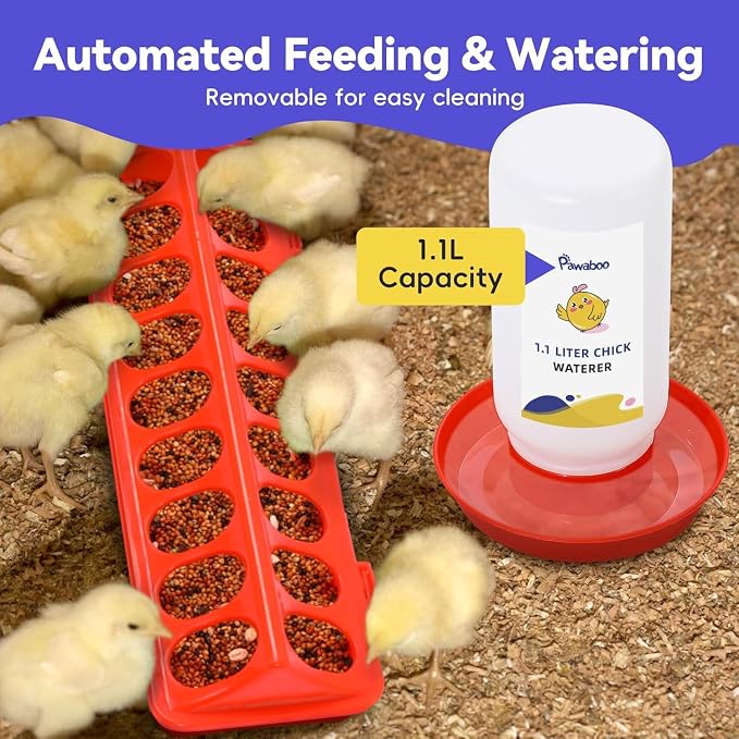 Pawaboo Chick Brooder Box for Chick Starter Kit, Green + Red + Wood Color | Brooder Pen/Chicken Supplies Brooders Box with Chicks Perch Brooding Up to 15 Chicks, Duck and Quail