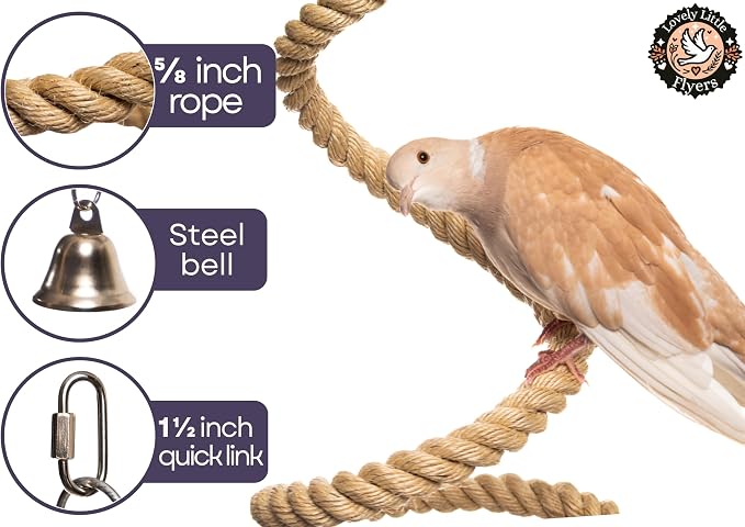 Boing Rope Perch for Parrots, Bendable Natural Sisal Spiral Hanging Bungee Perch with Stainless Steel Mount, Cotton Alternative Cage Accessory, Perch for Cockatiels, Parakeets, Doves, Budgies (6 ft)