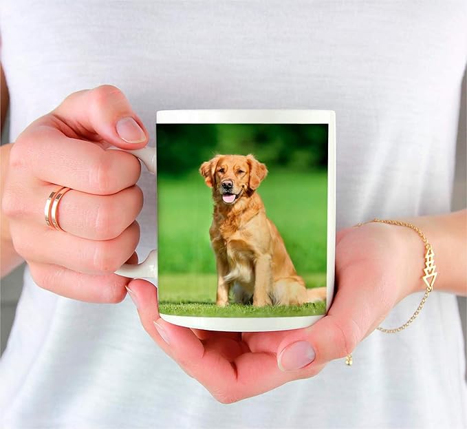 Andaz Press Fully Personalized 11oz. Coffee Mug Gift, Personalized Coffee Mug, Add Picture, Logo, or Text to Our Custom Mugs, 1-Pack, Includes Gift Box