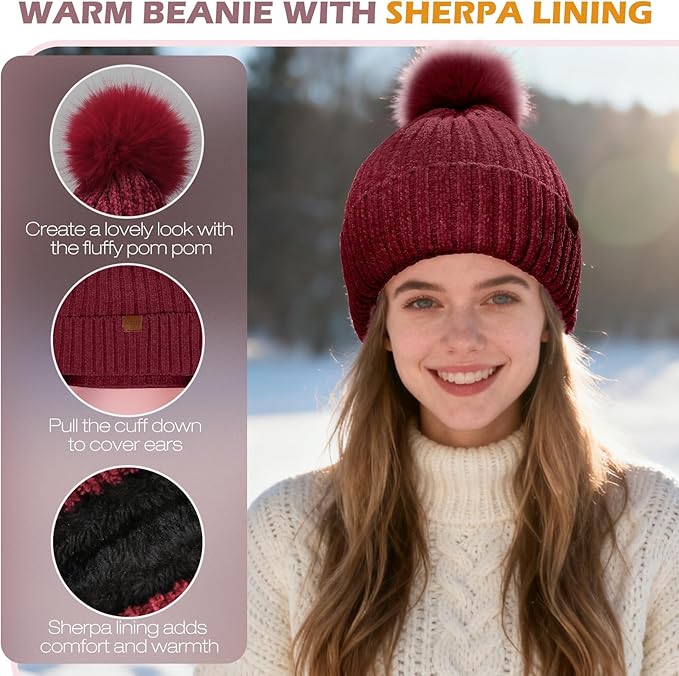 Winter Hats Gloves Scarf Set for Women, Beanie Hat Headband Ear Warmer, Infinity Scarf Touchscreen Gloves for Cold Weather