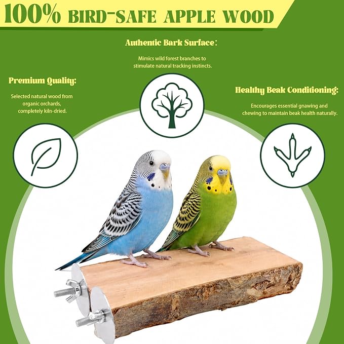 2PCS Large Flat Bird Perch Platform for Cage (6" x 3.15") | Natural Apple Wood Foot-Care Wooden Perches Stand, Small Bird Toy & Accessories for Cockatiels, Conures, Budgies, Lovebirds