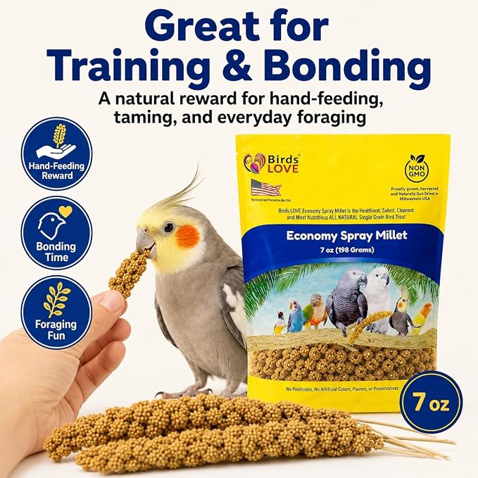 Birds LOVE Economy Spray Millet for Birds, 7 oz, GMO-Free Natural Millet Spray Treat, Stem-Reduced Edible Tops, Grown in USA, for Parakeets, Cockatiels, Lovebirds, Finches, Canaries & Small Parrots