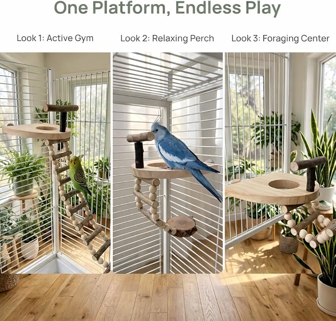Bird Perch for Cage, Natural Pine Wood Platform with Ladder, Cage Mounted Parrot Perch for Parakeets, Cockatiels, Budgies, Finches & Small Birds