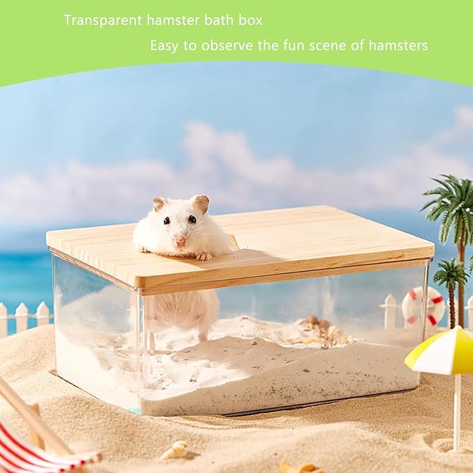Transparent Hamster Sand Bath Box with Ladder Multi-Functional Dust Bath, Hideout & Digging Box for Hamsters, Chinchillas & Small Pets Easy-Clean Acrylic Habitat Accessory