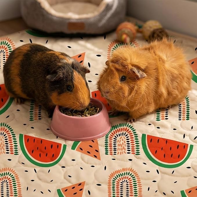 Guinea Pig Cage Liner, 49"x24" Bedding for Midwest Cage 2 Pack, Watermelon | Washable Fleece Bedding, Super Absorbent, Non-Slip, Waterproof Rabbit Mat, Machine Washable, Small Animal Cage Accessory