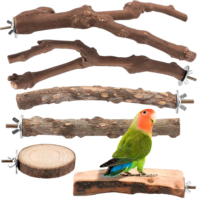 6 Pcs Natural Wood Bird Perch & Platform Set for Cage | Grapevine branches, prickly ash sticks & apple wood platforms; textured surface for foot health; easy wing-nut setup.