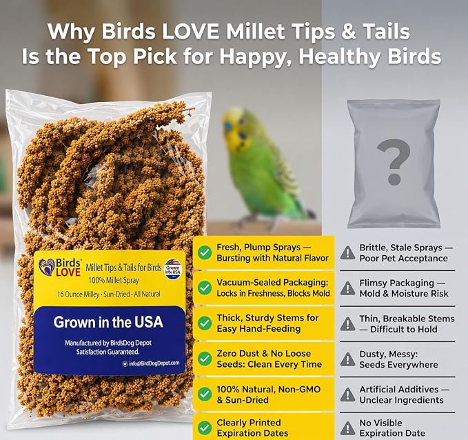 Birds LOVE® 1lb Millet Tips & Tails for Birds – Premium Spray Millet Treat, USA Grown – Natural & Healthy Bird Food for Parakeets, Cockatiels, Budgies, Lovebirds, Finches, Canaries & Parrots – 2 Pack