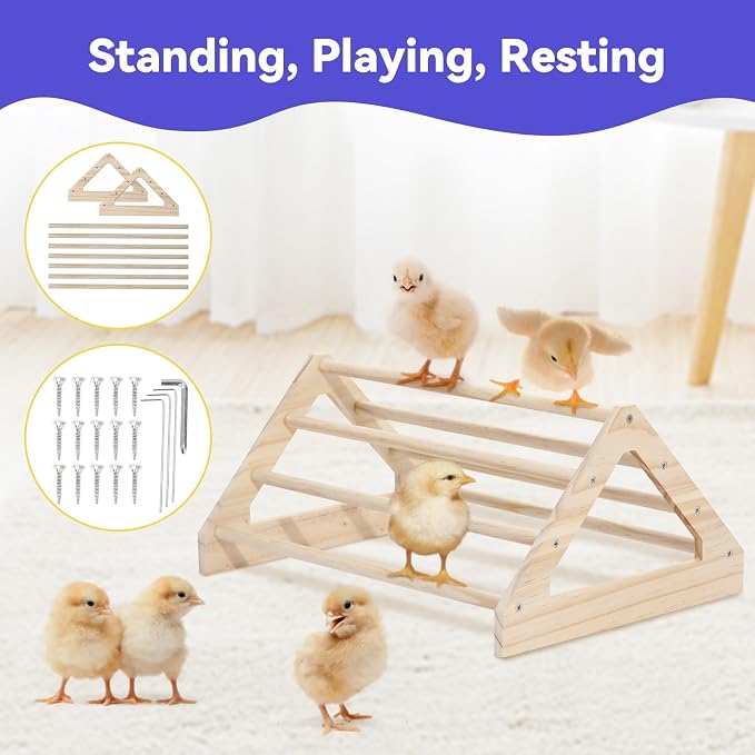 Pawaboo Chick Brooder Box for Chick Starter Kit, Black | Brooder Pen/Chicken Supplies Brooders Box with Chicks Perch Brooding Up to 15 Chicks, Duck and Quail